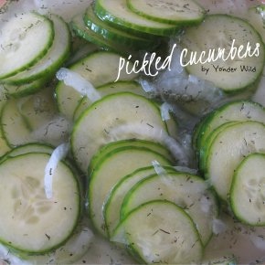 Pickled Cucumbers – the Condiment that Preserves